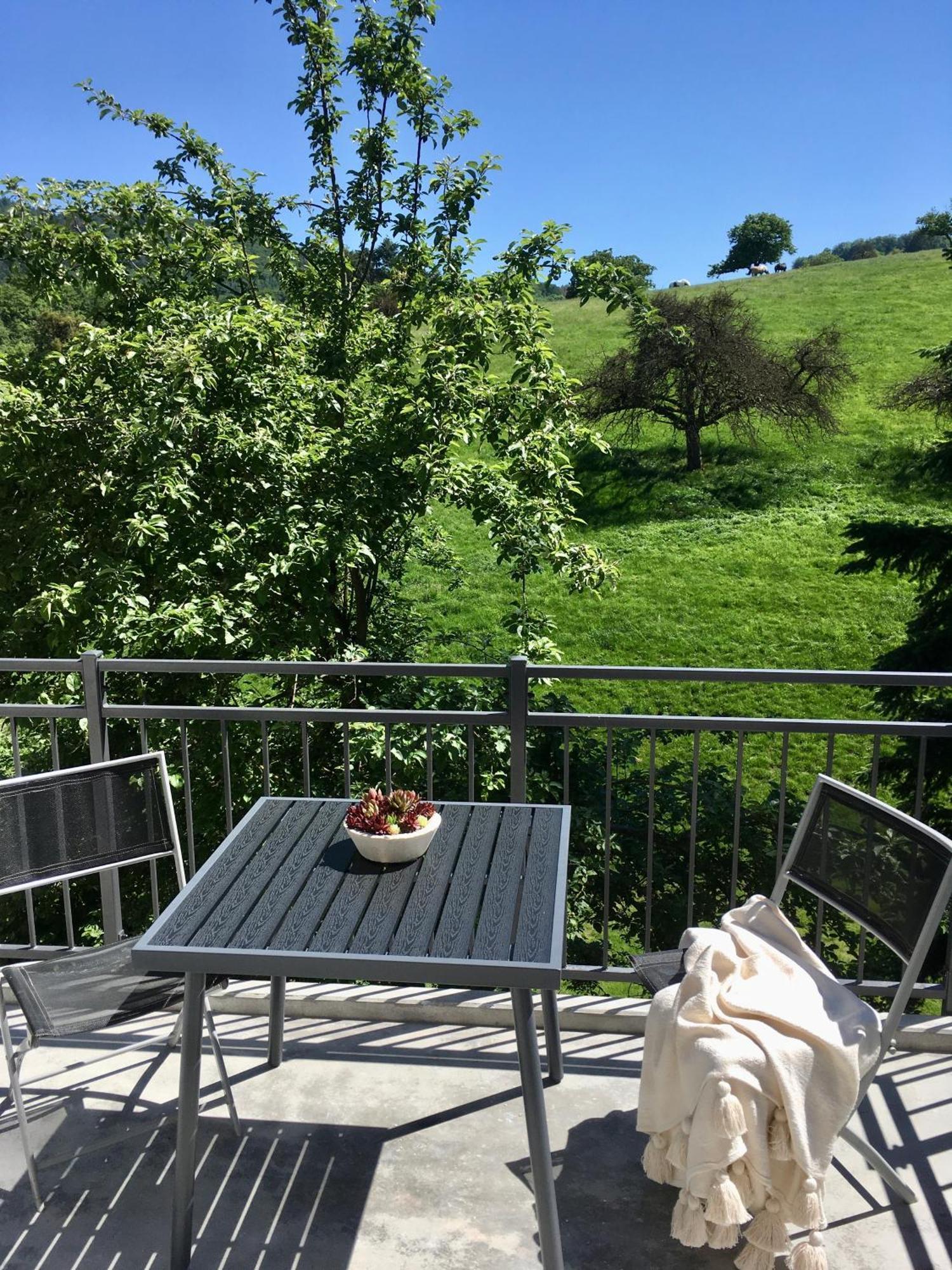 Weinheim Apartments Zewnętrze zdjęcie